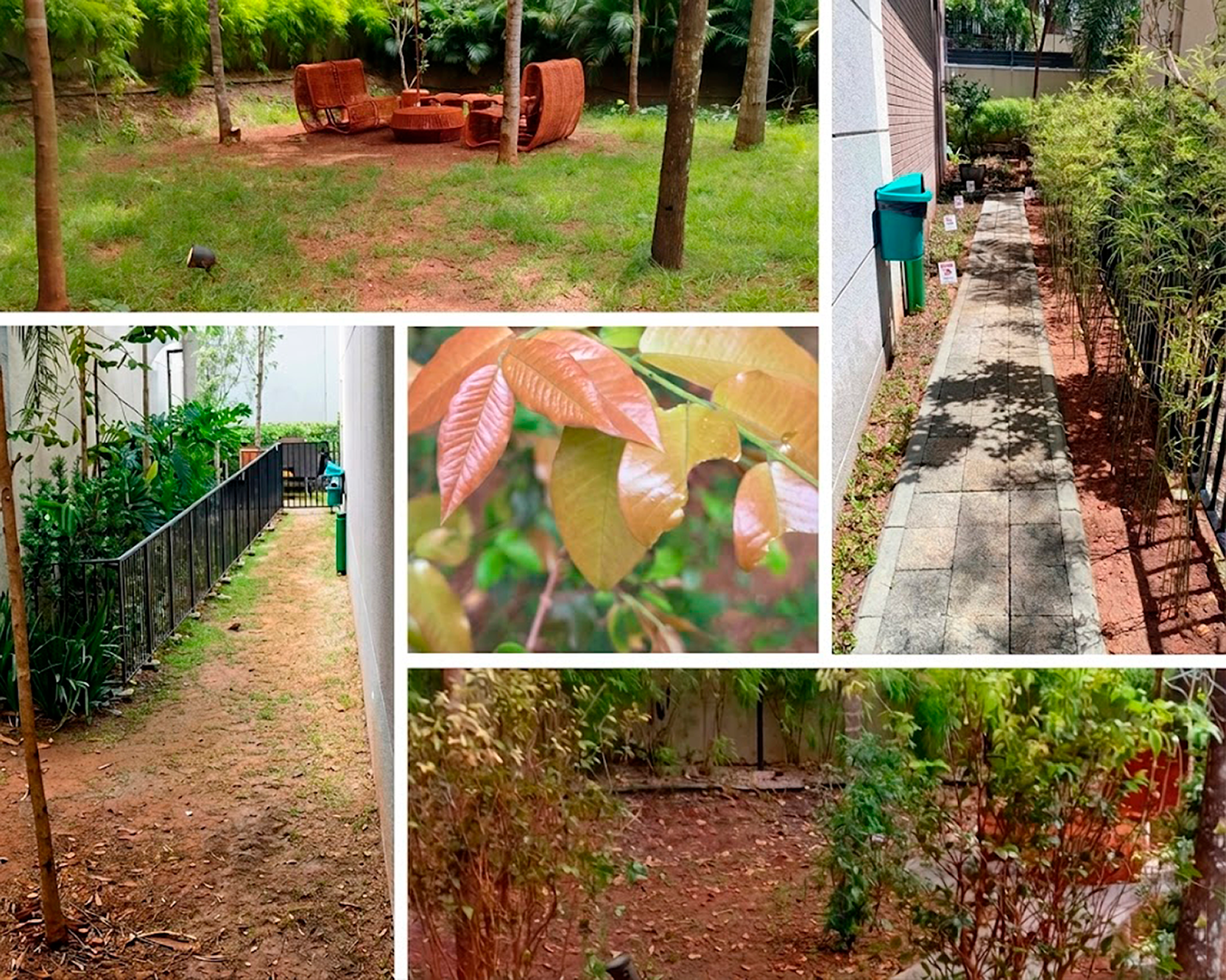 paisagismo resultado